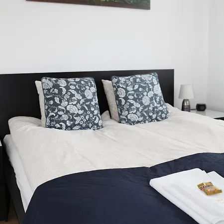 Paskal-lux With Free Parking And Ac Apartment Budapest