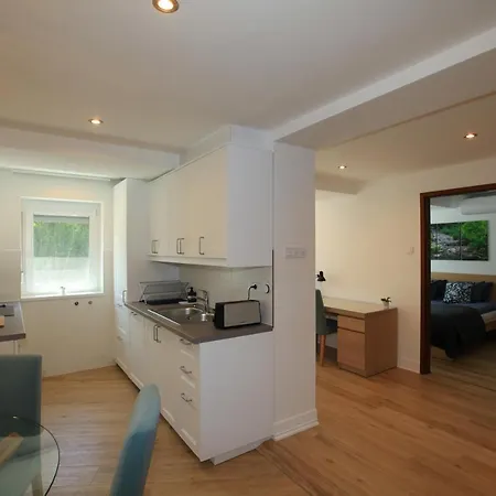 Paskal-lux With Free Parking And Ac Budapešť