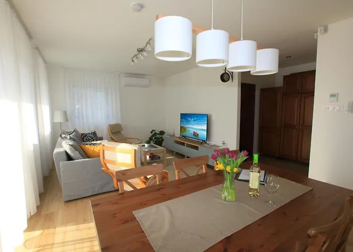 Paskal-lux With Free Parking And Ac Apartament *